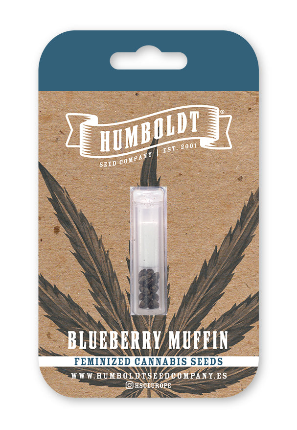 Premium Hanfsamen von Humboldt Seed Company